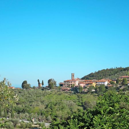 Appartamento Locazione Turistica Castagno Santa Luce Esterno foto